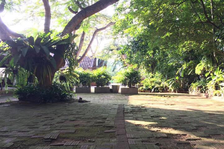 Property grounds