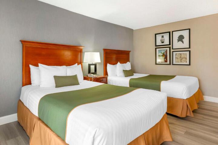 2 Queen Beds High Speed Internet Accessible Hairdryer Coffee Maker Iron and Ironing Board (3 of 5)