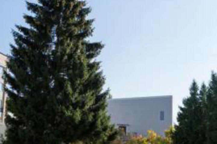 Exterior of Desna