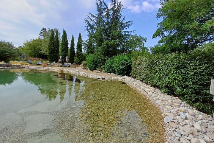 Pool 45 of 61