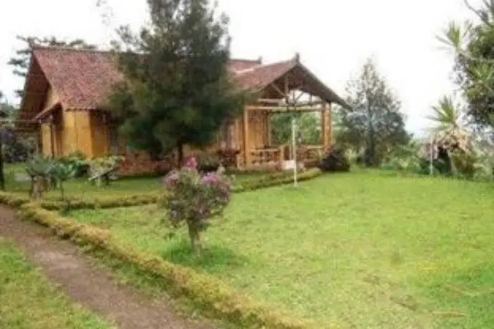 Photo 10