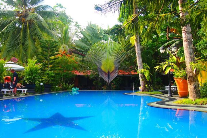 Pool 44 of 52