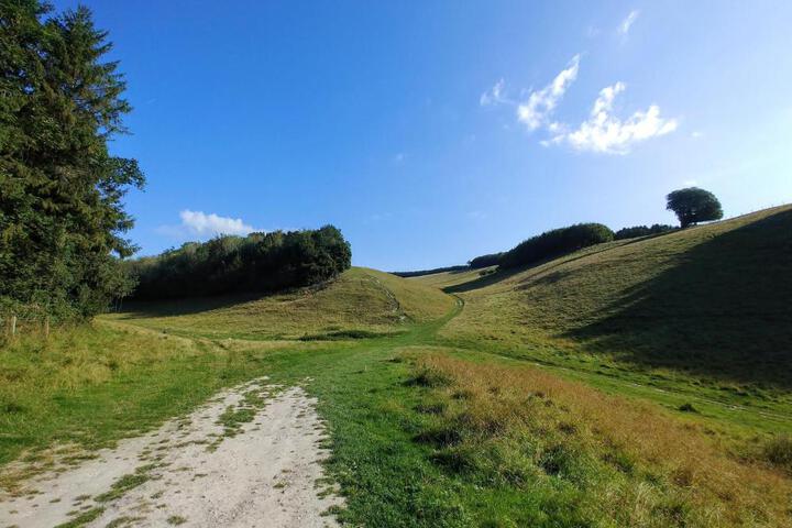 General 50 of 73