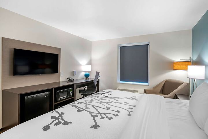 1 King Bed (6 of 7)