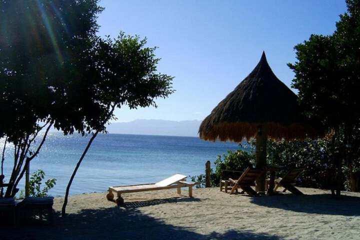 Sea Turtle House