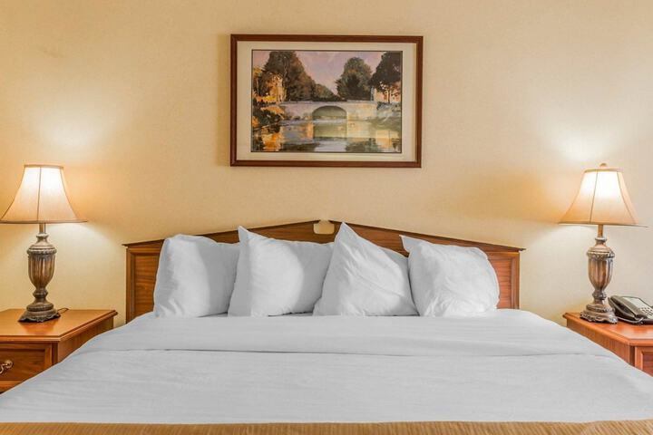 1 King Bed (2 of 7)