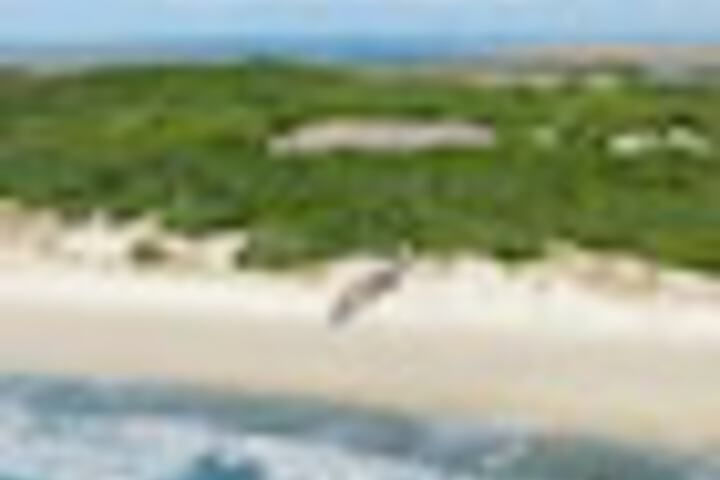 Beach/ocean view