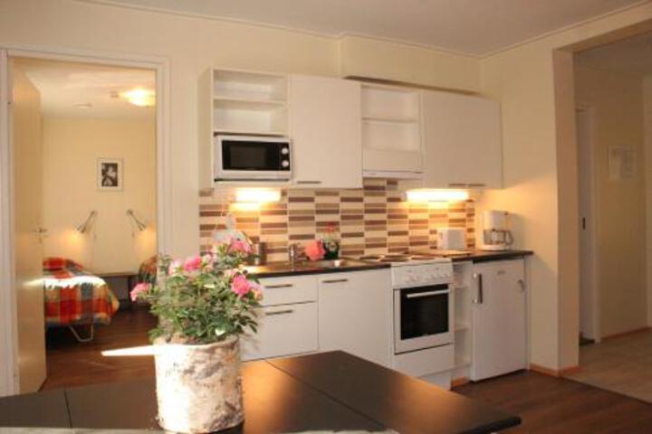 Hotel Aakenus Holiday Home Kokki