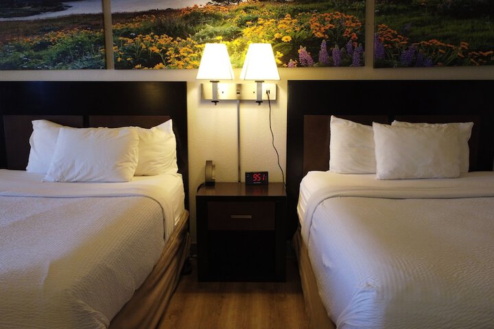 Room 25 of 46