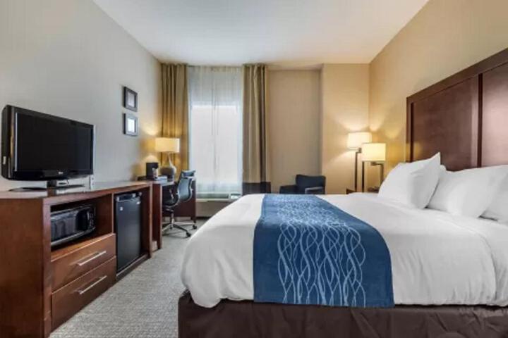 1 King Bed (1 of 21)