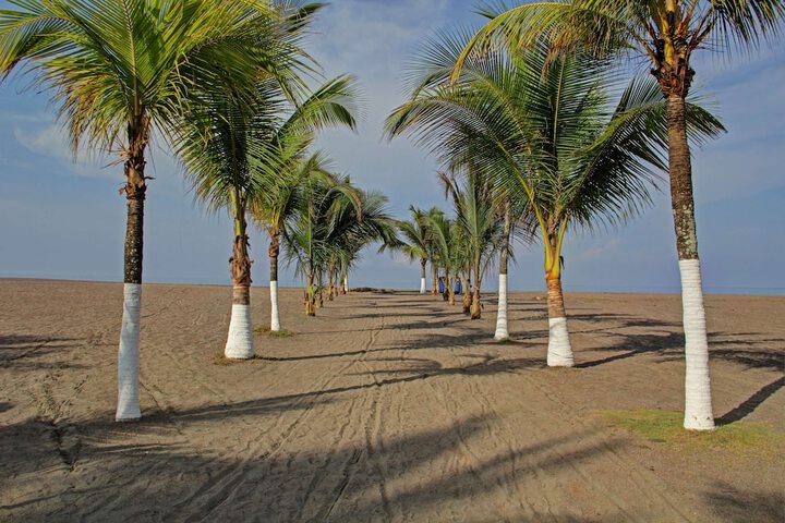 Beach 73 of 91