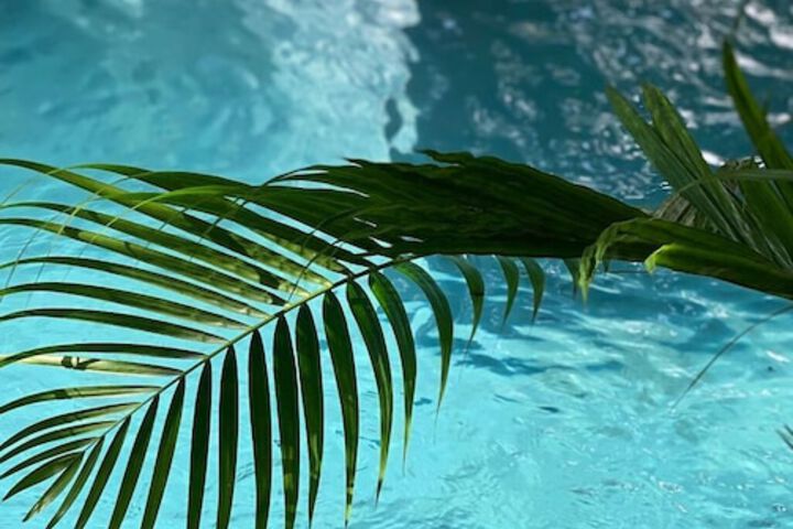 Pool 110 of 125