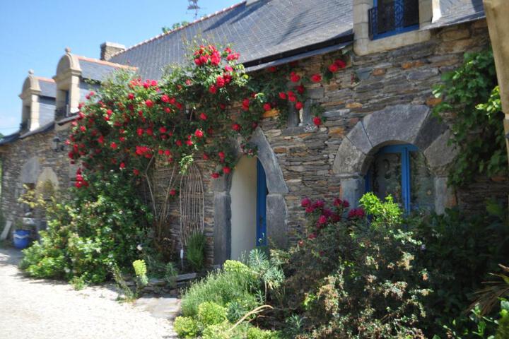 Photo 19