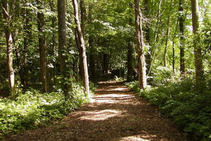 Property Grounds 20 of 22