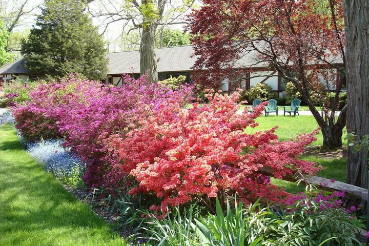 Property Grounds 22 of 40