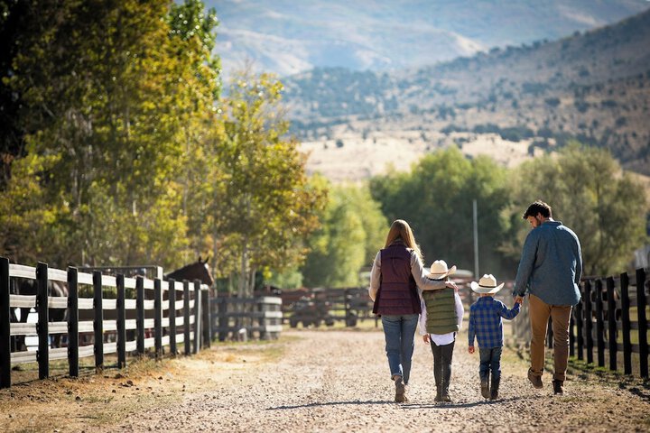 Property Grounds 103 of 120