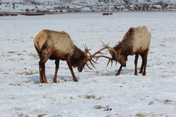 Property Grounds 26 of 46