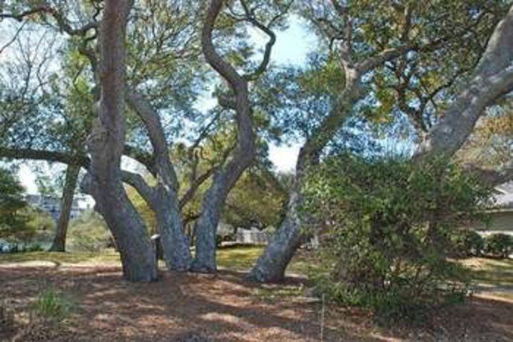 Property Grounds 22 of 25
