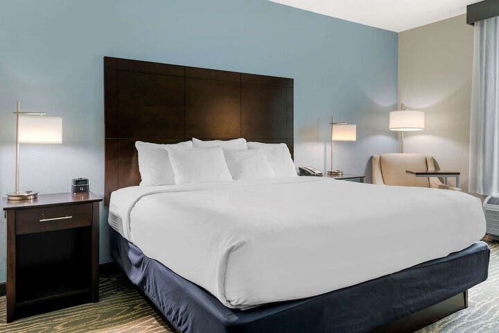 1 King Bed (12 of 19)