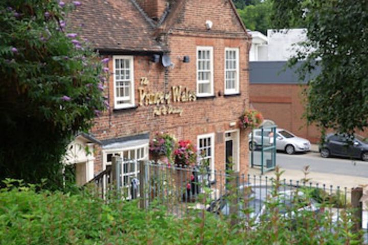 THE PRINCE OF WALES