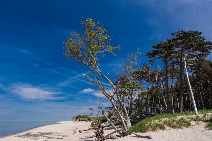 Beach 21 of 22