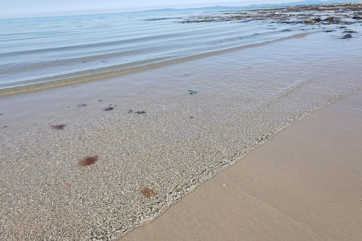 Beach 40 of 43
