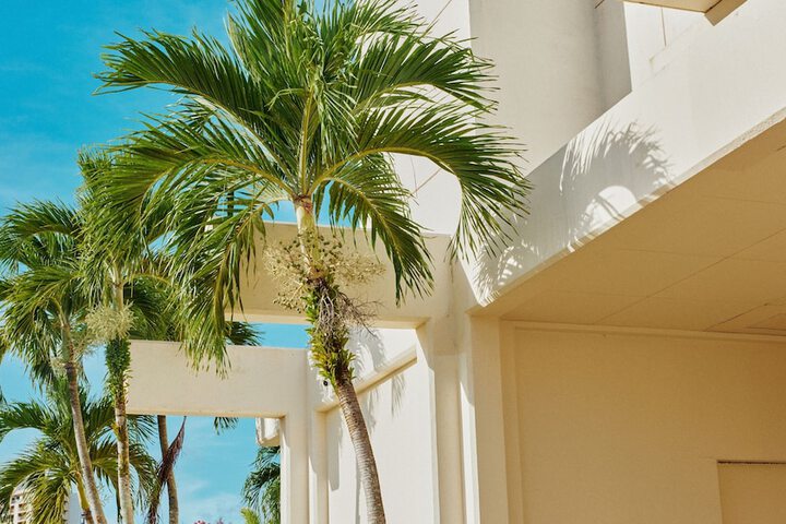 Hotel 220 of 226