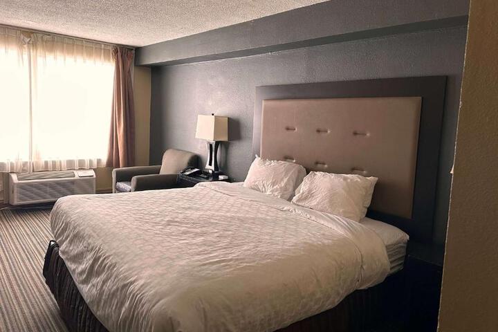 1 King Bed (5 of 9)