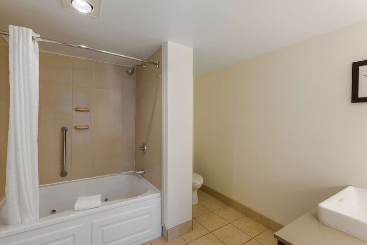 1 King Bed Accessible (6 of 36)