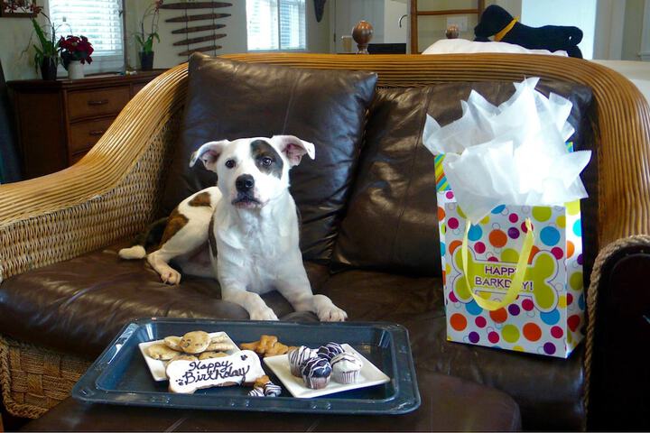 Pet Friendly 118 of 137