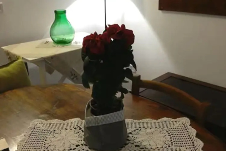 Room 5 of 20