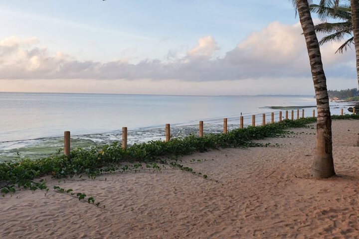 Beach 52 of 54