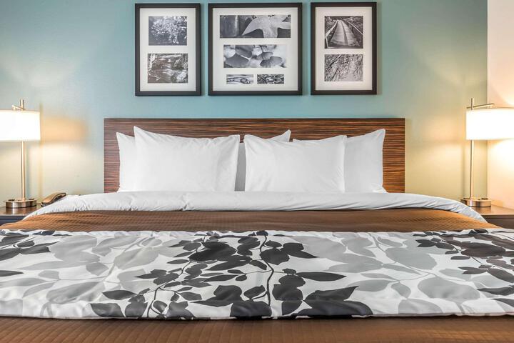 1 King Bed (1 of 20)