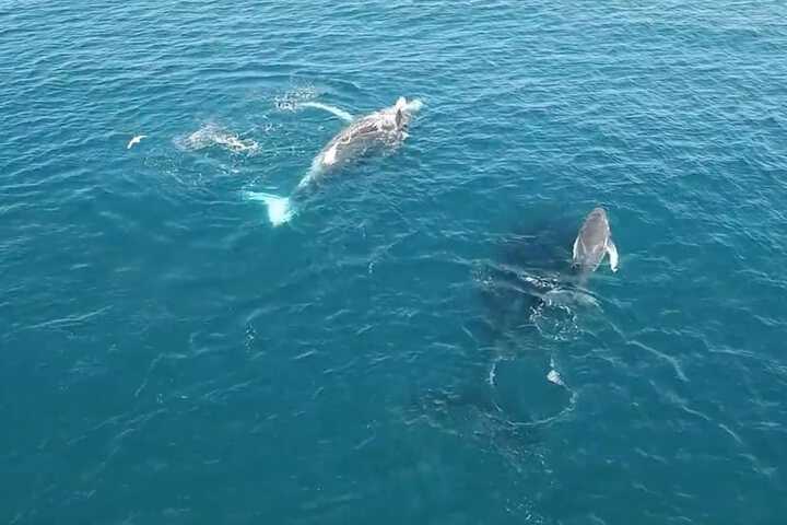 Beach 61 of 75