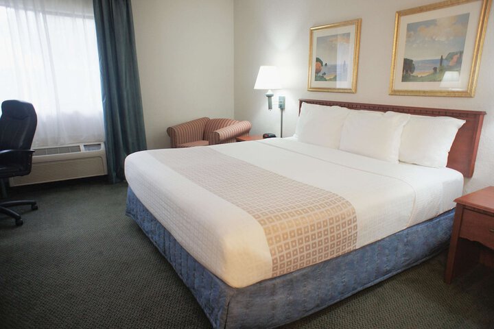 1 King Bed Mobilty Acessible Room Bathtub with Grab Bars (6 of 35)