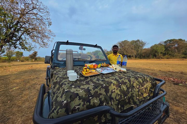 Game drive