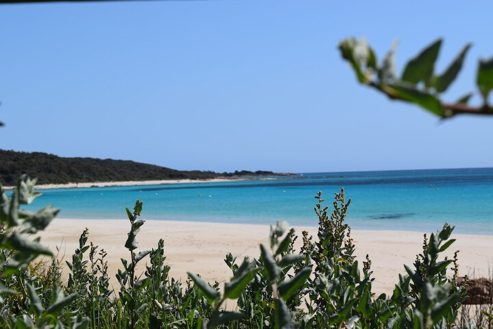 Beach 28 of 40