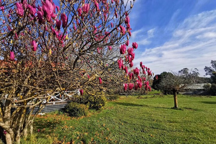 Wedding/Banquet 34 of 58