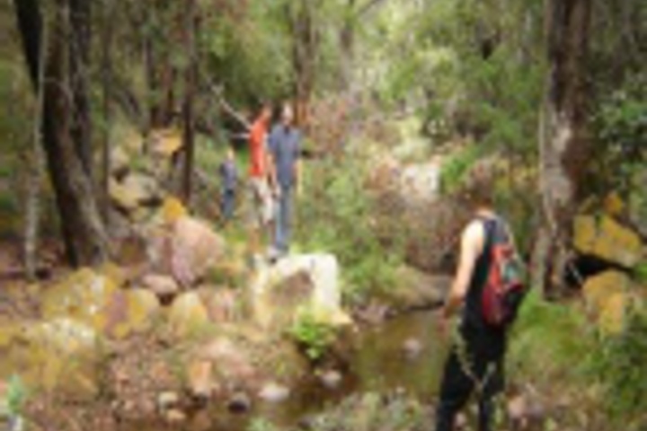 Outdoor Activities 73 of 792