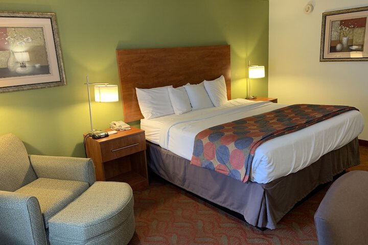 1 King Bed (9 of 11)