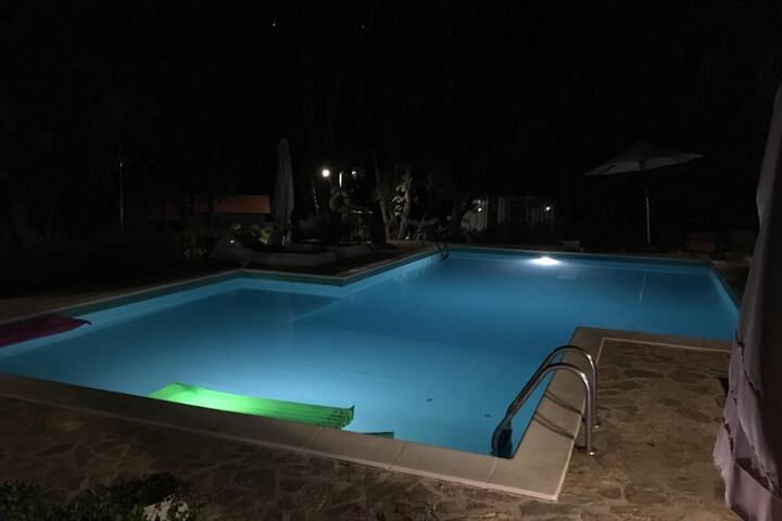 Pool Photo