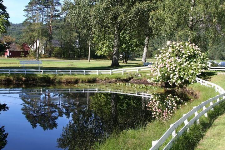 Property Grounds 18 of 27