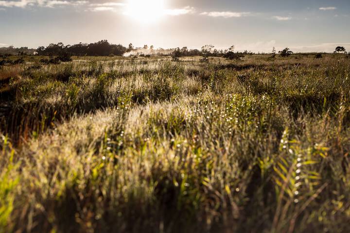 Outdoor Activities 16 of 30