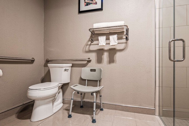 1 King Bed Accessible (7 of 10)