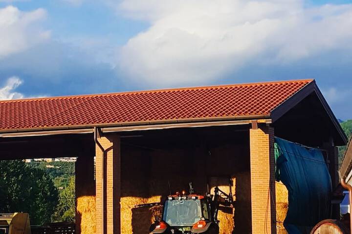 AGRITURISMO BINI