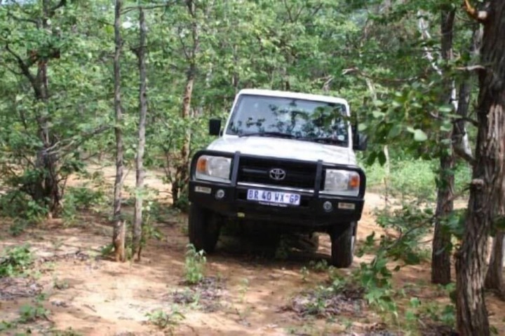Safari