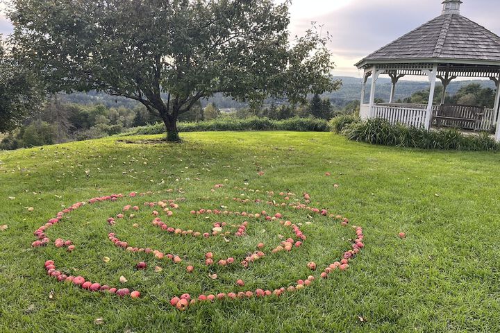 Wedding/Banquet 260 of 311