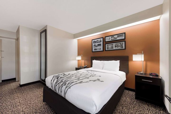 1 Queen Bed (18 of 18)