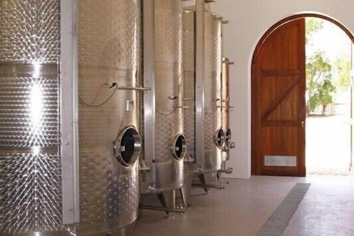 Vineyard
