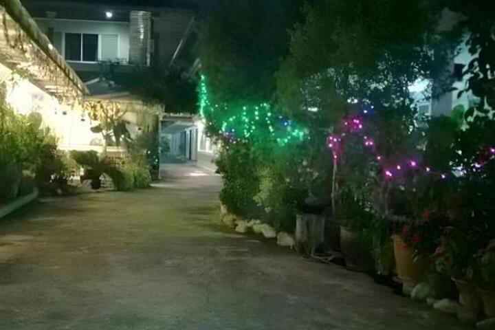 Photo 23